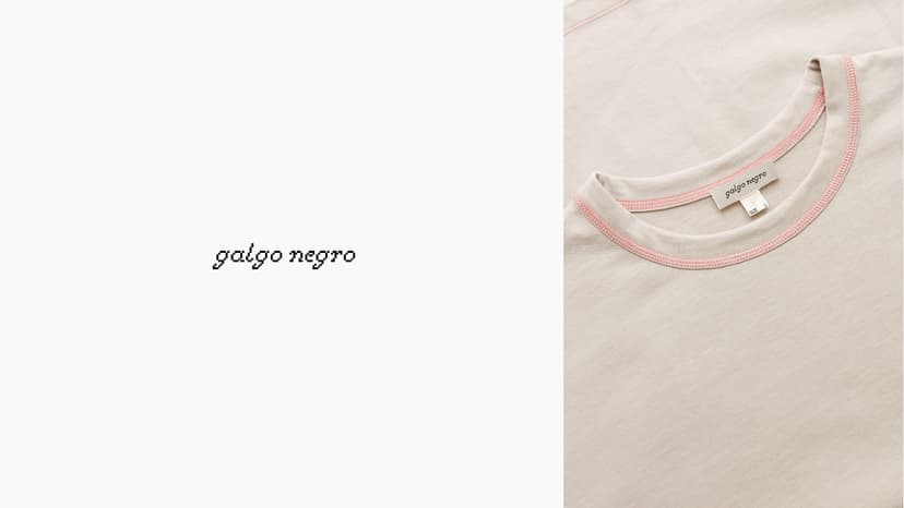 Image 3 for galgo negro