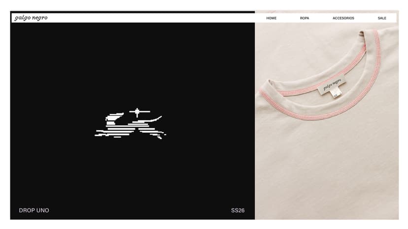 Image 4 for galgo negro