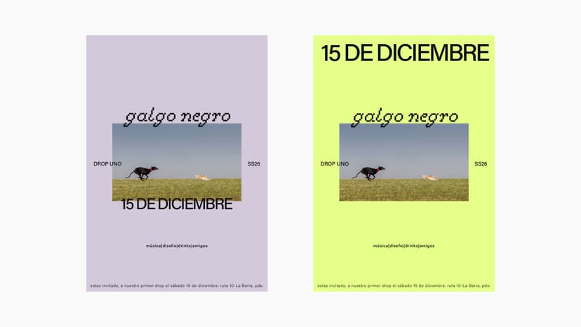 Image 8 for galgo negro