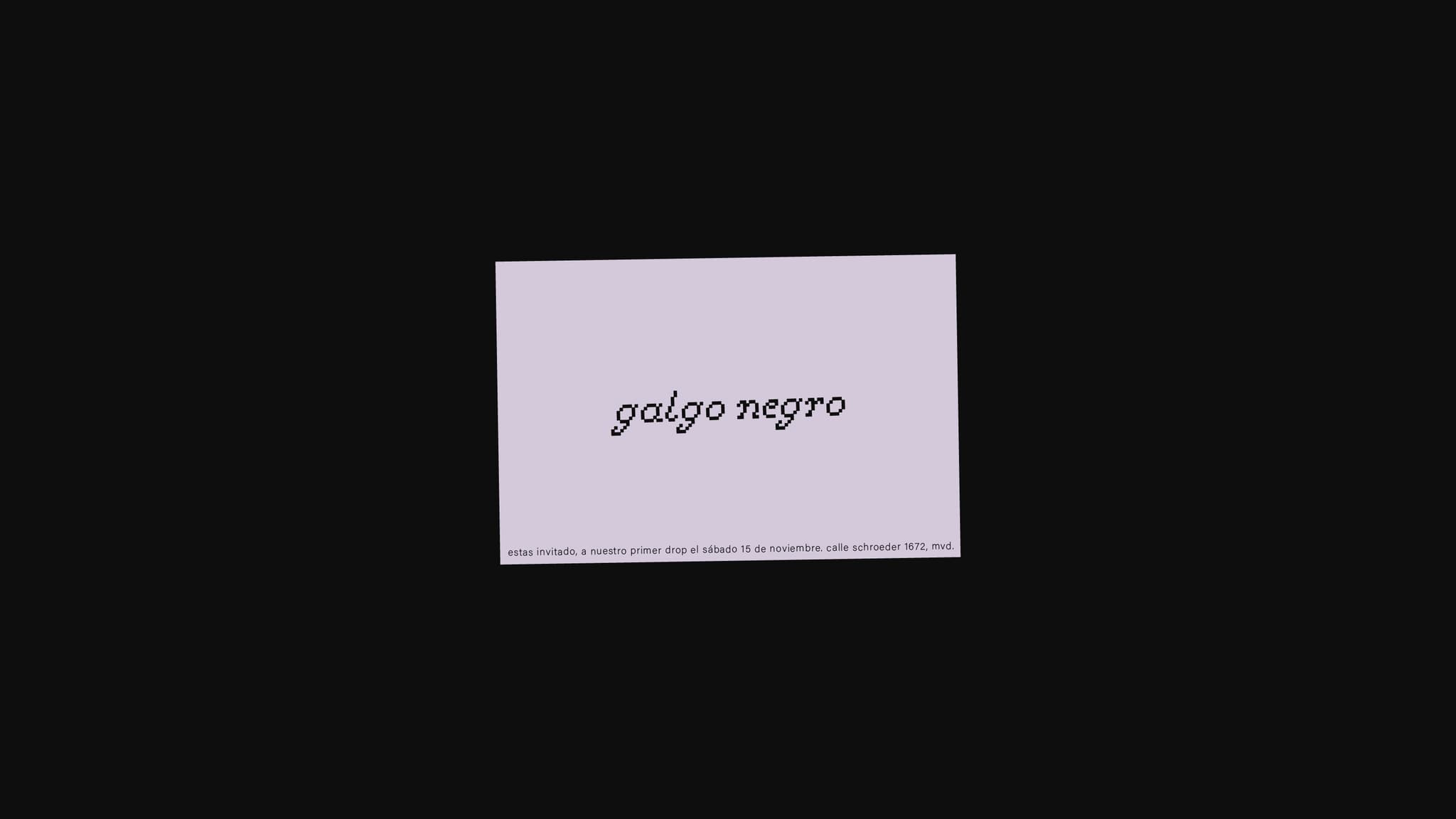 Image 5 for galgo negro
