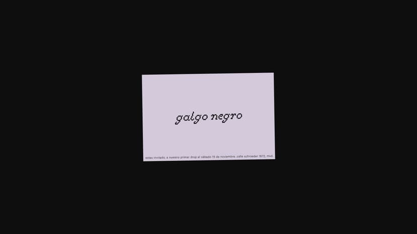 Image 5 for galgo negro