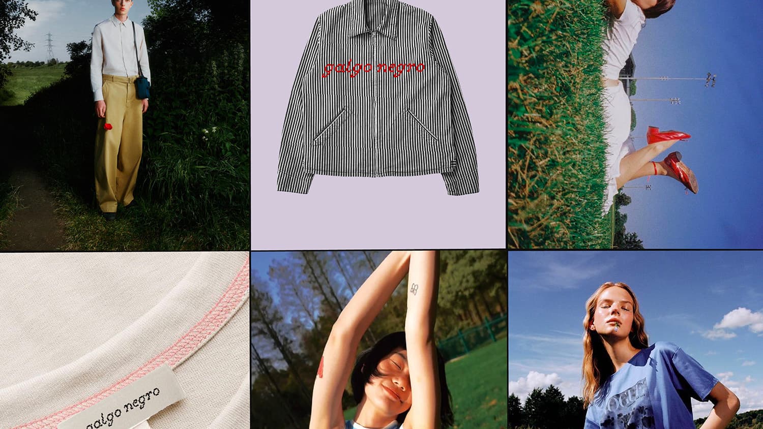 Image 7 for galgo negro